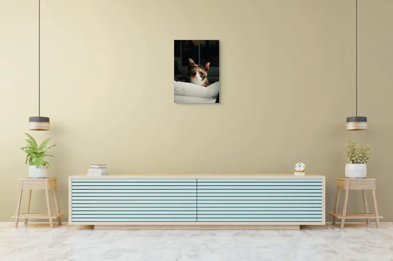 Tablou Canvas, "Pisica observatoare pe așternut alb", Pisică, Blană, Uitătură, Mustăți, Verde, Ochi, Calm, Somnoros, Pătură, Întuneric, Lumină, Relaxare, 50 x 70 cm – poza 6