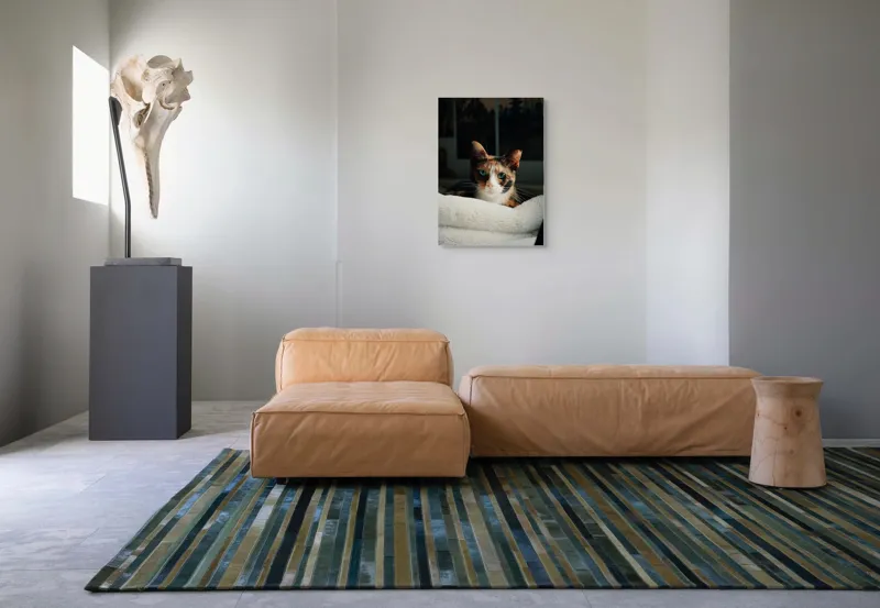 Tablou Canvas, "Pisica observatoare pe așternut alb", Pisică, Blană, Uitătură, Mustăți, Verde, Ochi, Calm, Somnoros, Pătură, Întuneric, Lumină, Relaxare, 50 x 70 cm – poza 7
