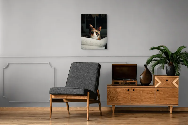 Tablou Canvas, "Pisica observatoare pe așternut alb", Pisică, Blană, Uitătură, Mustăți, Verde, Ochi, Calm, Somnoros, Pătură, Întuneric, Lumină, Relaxare, 50 x 70 cm – poza 8