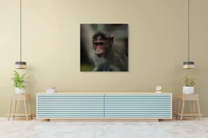 Tablou Canvas, "Maimuța contemplativă în pădurea tropicală", 100 x 100 cm – poza 5