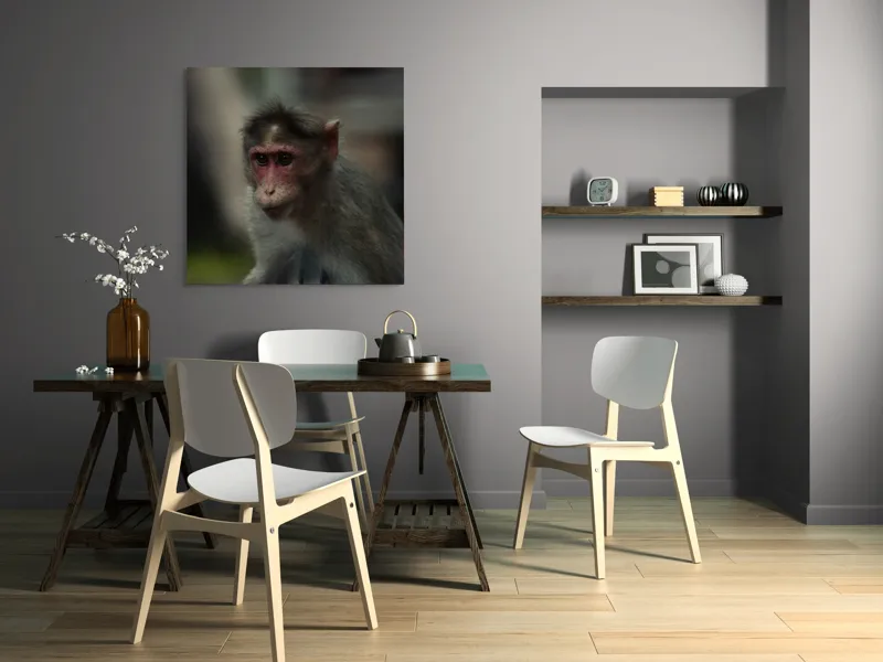 Tablou Canvas, "Maimuța contemplativă în pădurea tropicală", 100 x 100 cm – poza 6