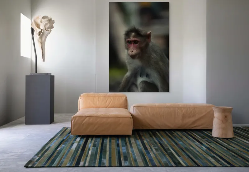 Tablou Canvas, "Maimuța contemplativă în pădurea tropicală", 100 x 150 cm – poza 7