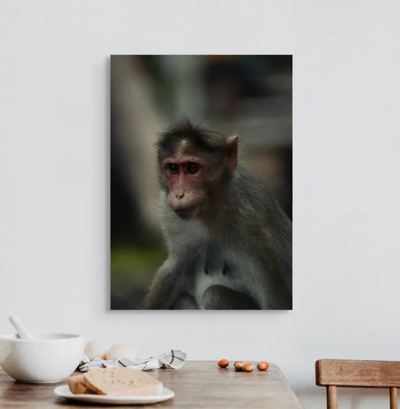Tablou Canvas, "Maimuța contemplativă în pădurea tropicală", 50 x 70 cm – poza 3