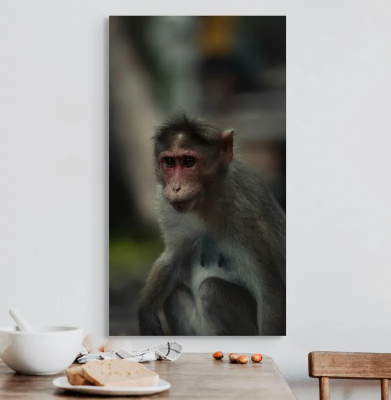 Tablou Canvas, "Maimuța contemplativă în pădurea tropicală", 50 x 90 cm – poza 3