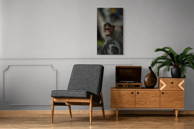 Tablou Canvas, "Maimuța contemplativă în pădurea tropicală", 50 x 90 cm – poza 8