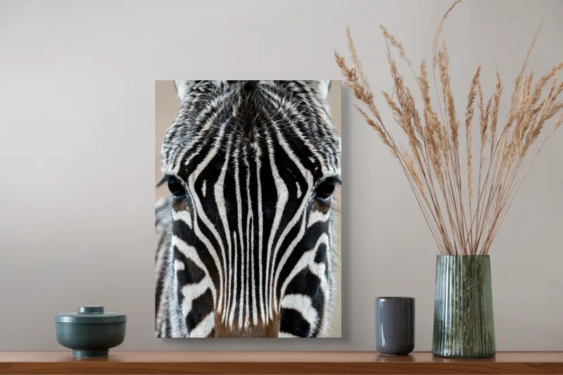 Tablou Canvas, "Zebra în prim-plan fascinantă și elegantă", Dungi, Simetrie, Contrast, Natură, Intensitate, Privire, Artă, 39 x 54 cm – poza 3