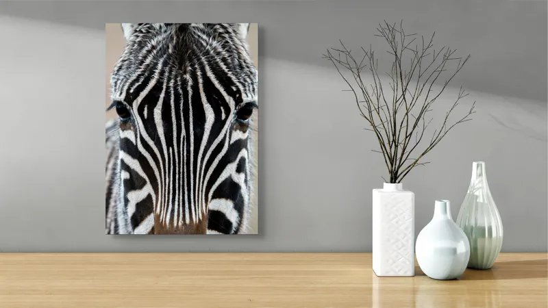 Tablou Canvas, "Zebra în prim-plan fascinantă și elegantă", Dungi, Simetrie, Contrast, Natură, Intensitate, Privire, Artă, 39 x 54 cm – poza 4
