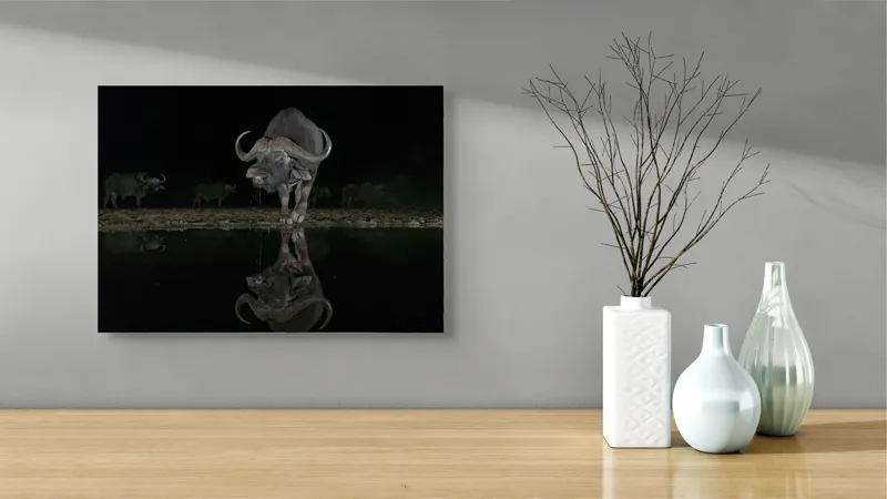 Tablou Canvas, "Cape bufniște reflexia în apă la miezul nopții", Viteaz, Impunător, Reflecție, Pământ, Întuneric, Liniște, Natură, 54 x 39 cm – poza 3