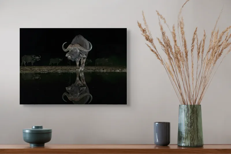 Tablou Canvas, "Cape bufniște reflexia în apă la miezul nopții", Viteaz, Impunător, Reflecție, Pământ, Întuneric, Liniște, Natură, 54 x 39 cm – poza 4