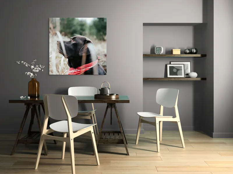 Tablou Canvas, Câine, Labră, Bandană, Natură, Ochi, Blană, Iarbă, Observare, Urechi, Peisaj, 100 x 100 cm – poza 6