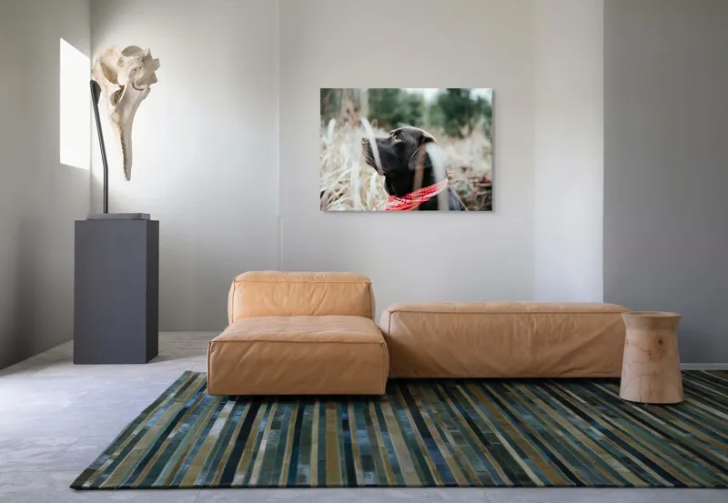 Tablou Canvas, Câine, Labră, Bandană, Natură, Ochi, Blană, Iarbă, Observare, Urechi, Peisaj, 100 x 70 cm – poza 7
