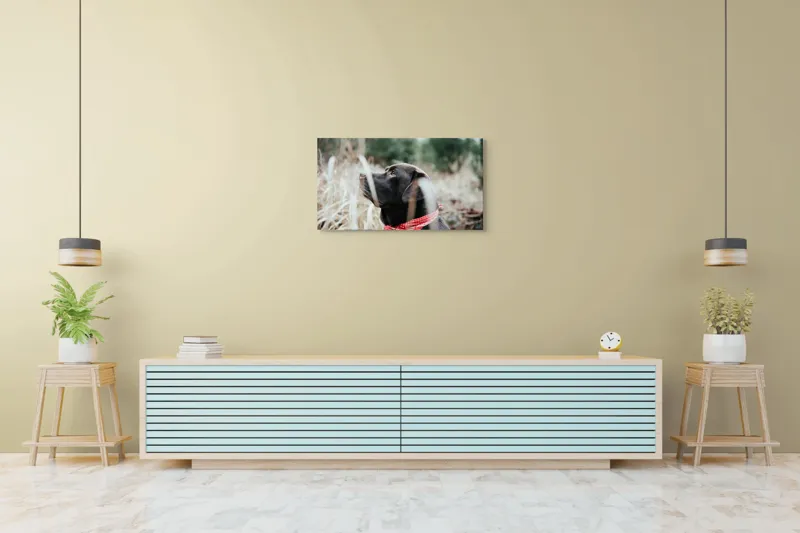 Tablou Canvas, Câine, Labră, Bandană, Natură, Ochi, Blană, Iarbă, Observare, Urechi, Peisaj, 90 x 50 cm – poza 5
