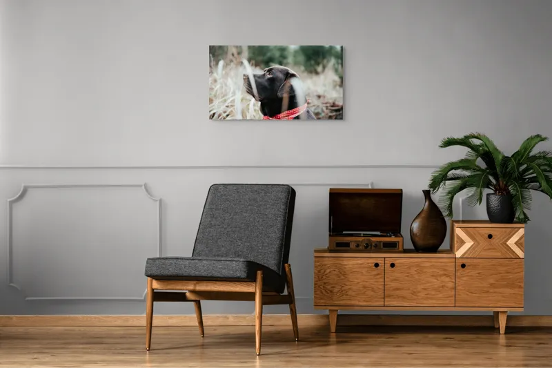 Tablou Canvas, Câine, Labră, Bandană, Natură, Ochi, Blană, Iarbă, Observare, Urechi, Peisaj, 90 x 50 cm – poza 6