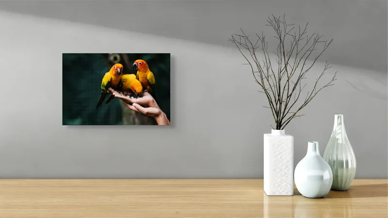 Tablou Canvas, "Păsări colorate în palmă umană", Păsări, Culori, Mănâncă, Mână, Natură, 39 x 26 cm – poza 8