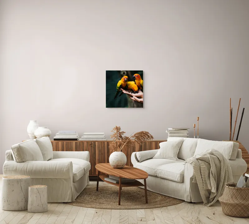 Tablou Canvas, "Păsări colorate în palmă umană", Păsări, Culori, Mănâncă, Mână, Natură, 50 x 50 cm – poza 7