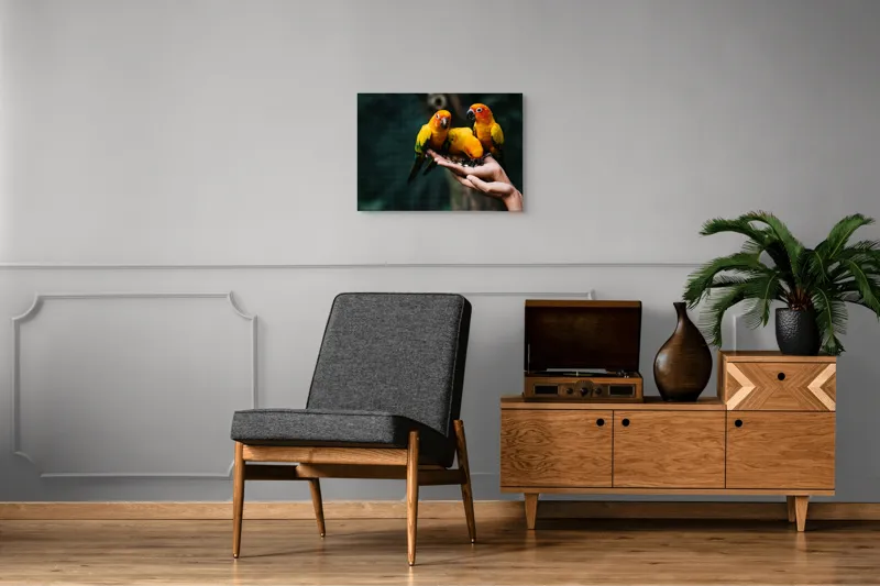 Tablou Canvas, "Păsări colorate în palmă umană", Păsări, Culori, Mănâncă, Mână, Natură, 70 x 50 cm – poza 4