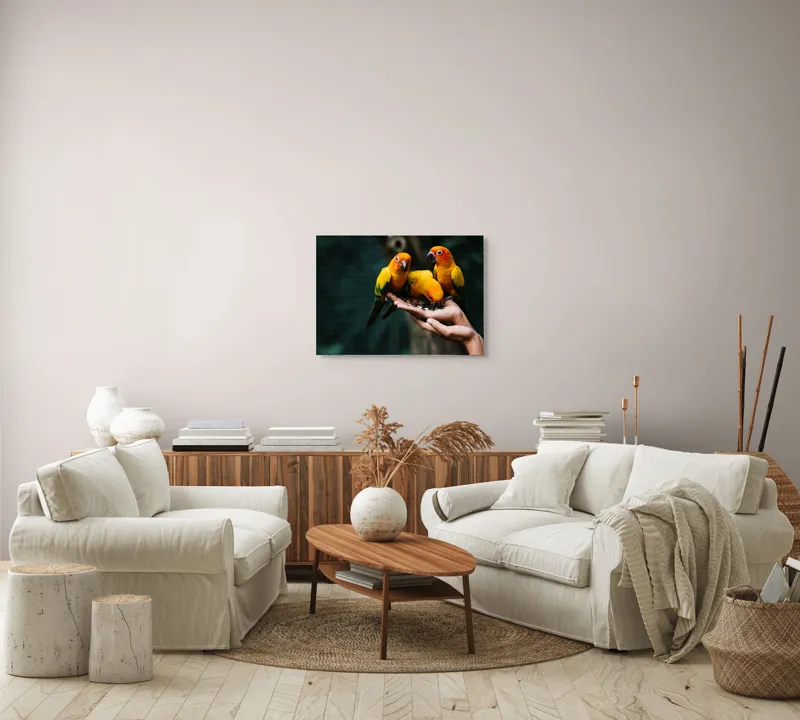 Tablou Canvas, "Păsări colorate în palmă umană", Păsări, Culori, Mănâncă, Mână, Natură, 70 x 50 cm – poza 6