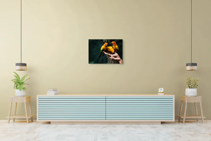 Tablou Canvas, "Păsări colorate în palmă umană", Păsări, Culori, Mănâncă, Mână, Natură, 70 x 50 cm – poza 7