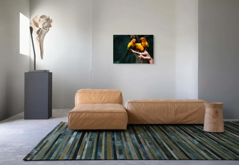 Tablou Canvas, "Păsări colorate în palmă umană", Păsări, Culori, Mănâncă, Mână, Natură, 70 x 50 cm – poza 8