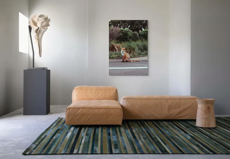 Tablou Canvas, "Vulpea la marginea drumului pădurii", Vulpe, Drum, Natura, Vegetatie, Cer, Blana, Coada, 70 x 100 cm – poza 7