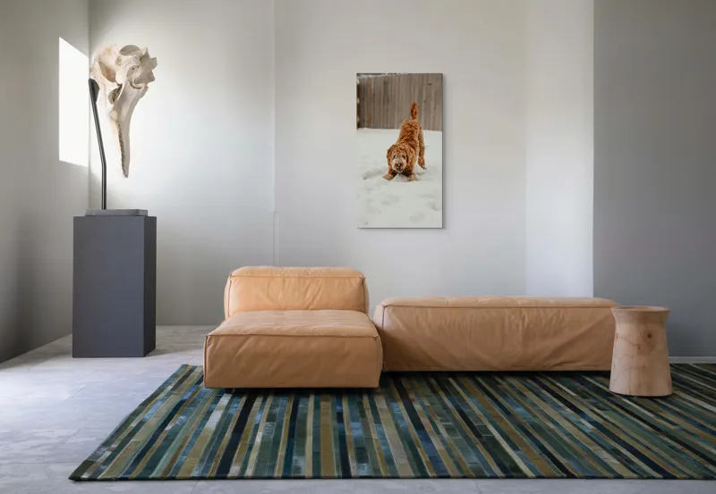 Tablou Canvas, "Câine jucăuș în zăpadă albă", Câine, Nisipiu, Iarnă, Zăpadă, Joacă, Gard, Distracție, Energie, 50 x 90 cm – poza 5