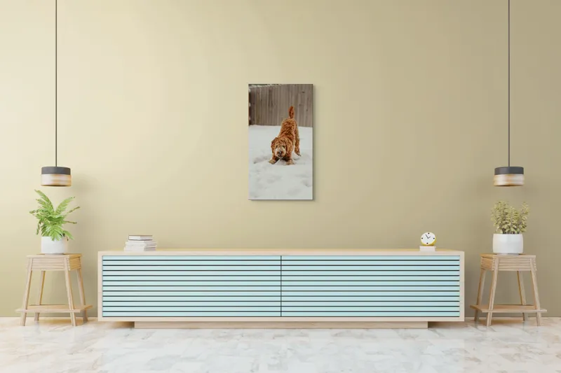 Tablou Canvas, "Câine jucăuș în zăpadă albă", Câine, Nisipiu, Iarnă, Zăpadă, Joacă, Gard, Distracție, Energie, 50 x 90 cm – poza 6