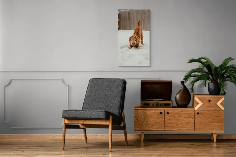 Tablou Canvas, "Câine jucăuș în zăpadă albă", Câine, Nisipiu, Iarnă, Zăpadă, Joacă, Gard, Distracție, Energie, 50 x 90 cm – poza 8
