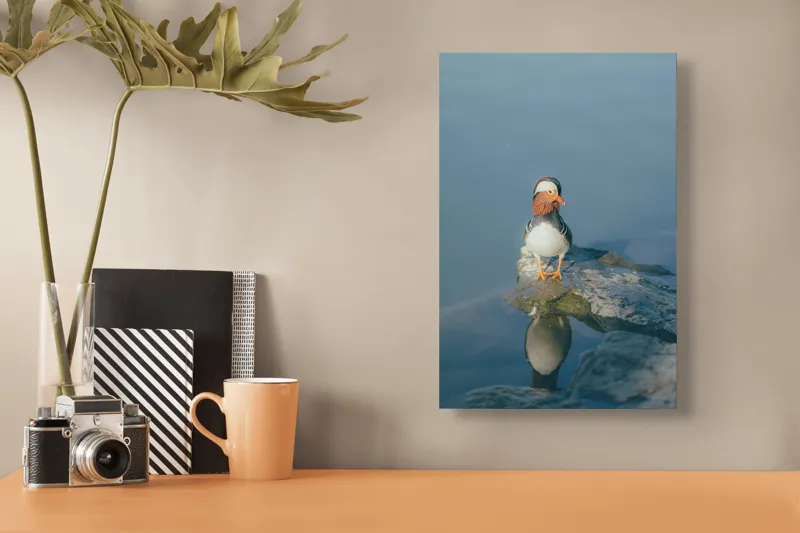 Tablou Canvas, "Rătăcind pe malul apei liniștite", Rață, Mandarină, Reflecție, Apă, Stânci, Calm, Natură, Frumusețe, Penaj, Singurătate, 26 x 39 cm – poza 3