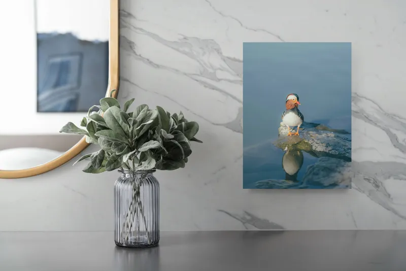 Tablou Canvas, "Rătăcind pe malul apei liniștite", Rață, Mandarină, Reflecție, Apă, Stânci, Calm, Natură, Frumusețe, Penaj, Singurătate, 26 x 39 cm – poza 4