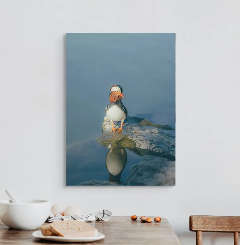 Tablou Canvas, "Rătăcind pe malul apei liniștite", Rață, Mandarină, Reflecție, Apă, Stânci, Calm, Natură, Frumusețe, Penaj, Singurătate, 50 x 70 cm – poza 3