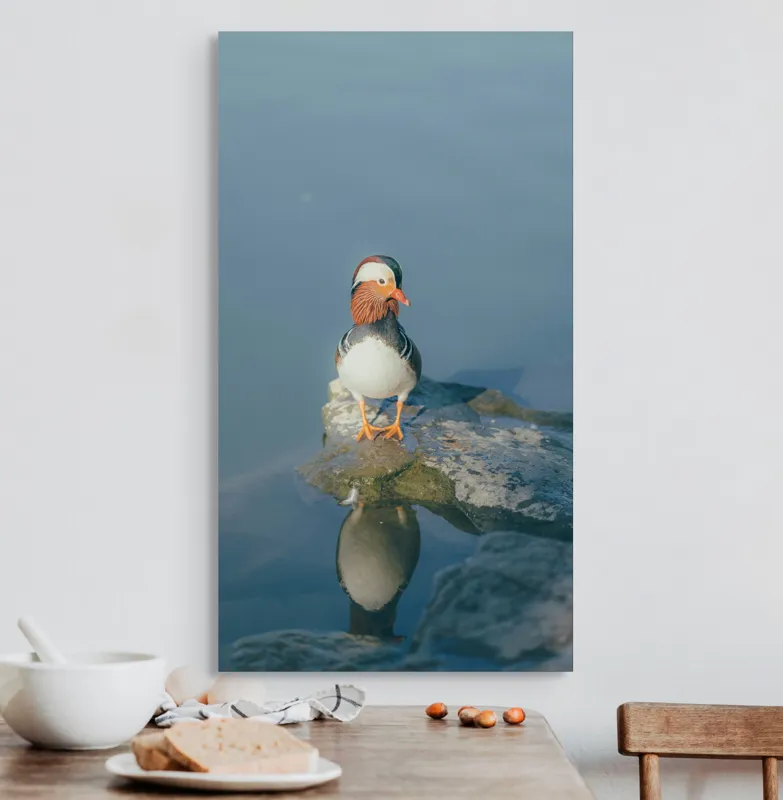 Tablou Canvas, "Rătăcind pe malul apei liniștite", Rață, Mandarină, Reflecție, Apă, Stânci, Calm, Natură, Frumusețe, Penaj, Singurătate, 50 x 90 cm – poza 3