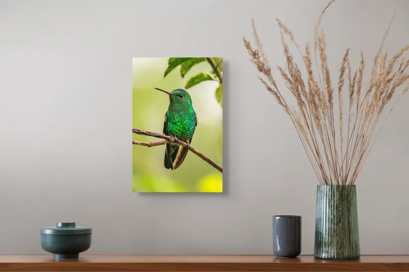 Tablou Canvas, "Șoimul de smarald odihnindu-se discret", Pene, Strălucire, Verde, Delicat, Natură, Viu, Fragil, Ramură, 26 x 39 cm – poza 5