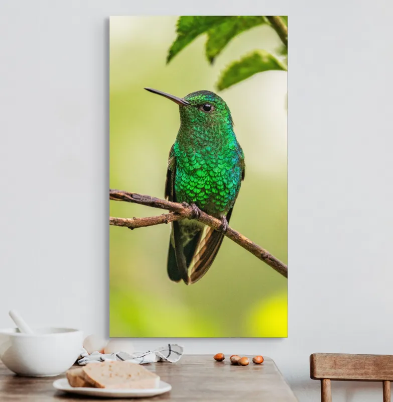 Tablou Canvas, "Șoimul de smarald odihnindu-se discret", Pene, Strălucire, Verde, Delicat, Natură, Viu, Fragil, Ramură, 50 x 90 cm – poza 3