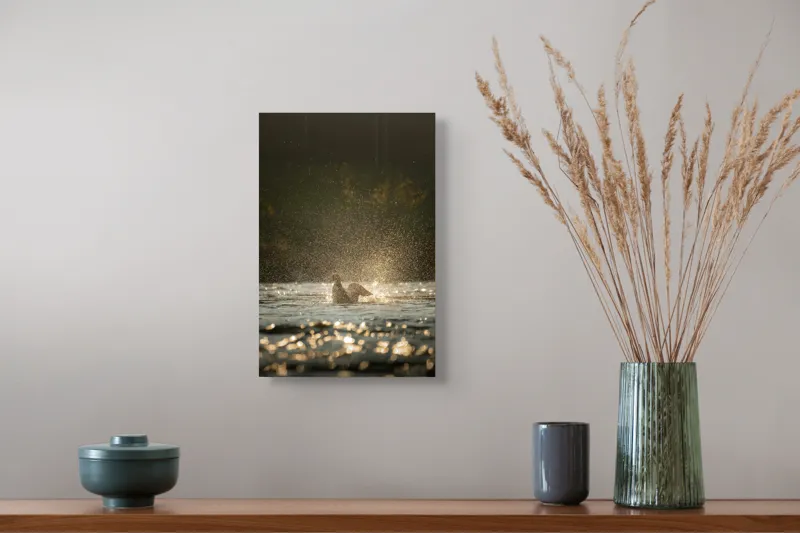 Tablou Canvas, "Zborul raței în lumina dimineții", Picături, Zbor, Apă, Luminiș, Sclipiri, 26 x 39 cm – poza 5