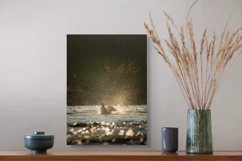 Tablou Canvas, "Zborul raței în lumina dimineții", Picături, Zbor, Apă, Luminiș, Sclipiri, 39 x 54 cm – poza 3