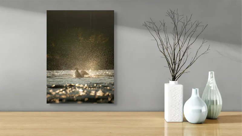 Tablou Canvas, "Zborul raței în lumina dimineții", Picături, Zbor, Apă, Luminiș, Sclipiri, 39 x 54 cm – poza 4