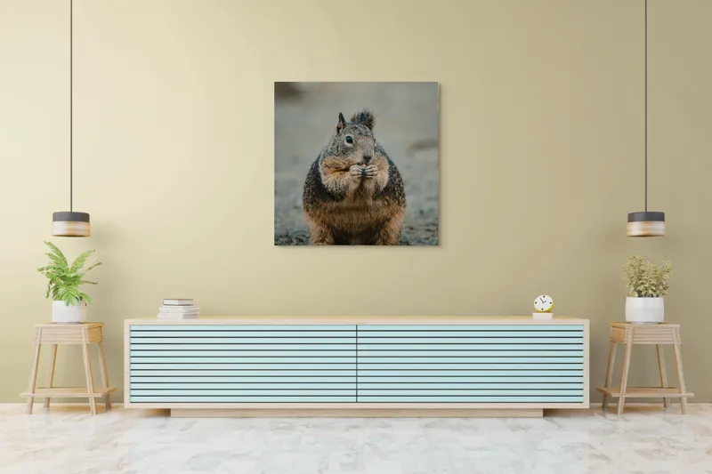 Tablou Canvas, "Veverița savurând o gustare gustoasă", 100 x 100 cm – poza 5
