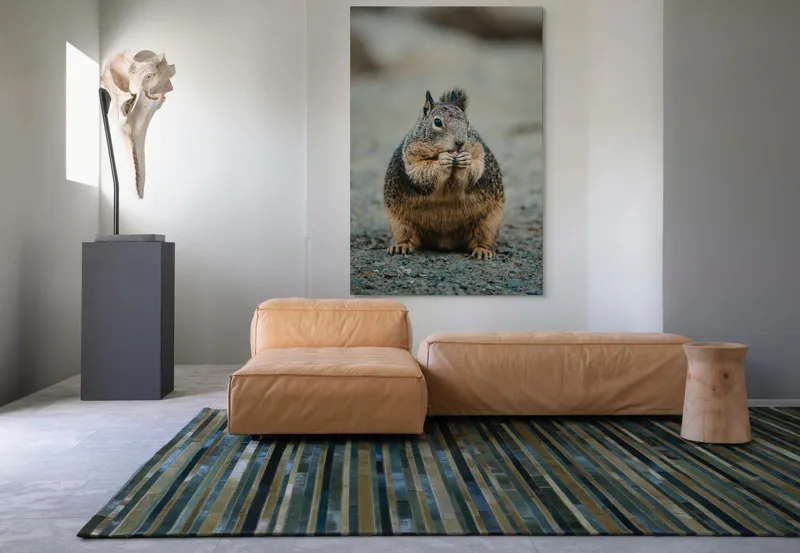 Tablou Canvas, "Veverița savurând o gustare gustoasă", 100 x 150 cm – poza 7