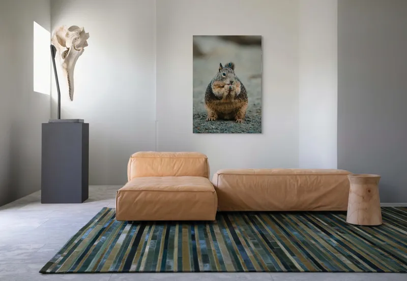 Tablou Canvas, "Veverița savurând o gustare gustoasă", 70 x 100 cm – poza 7