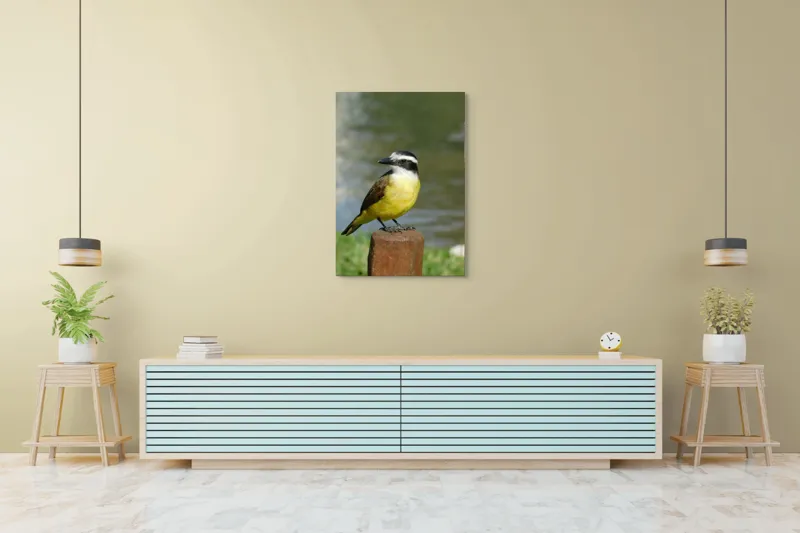 Tablou Canvas, "Pitulicea pe stâlpul de lemn", Pasăre, Galben, Maro, Negru, Alb, Aripioare, Cioc, Verde, Apă, 70 x 100 cm – poza 5