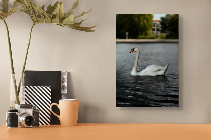 Tablou Canvas, "Grația lebedei pe lacul liniștit", Lebădă, Apă, Grație, Eleganță, Natură, Reflecție, Serenitate, Plumaj, Contrast, Peisaj., 26 x 39 cm – poza 3