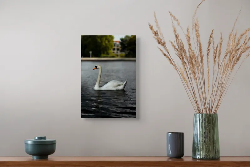 Tablou Canvas, "Grația lebedei pe lacul liniștit", Lebădă, Apă, Grație, Eleganță, Natură, Reflecție, Serenitate, Plumaj, Contrast, Peisaj., 26 x 39 cm – poza 5