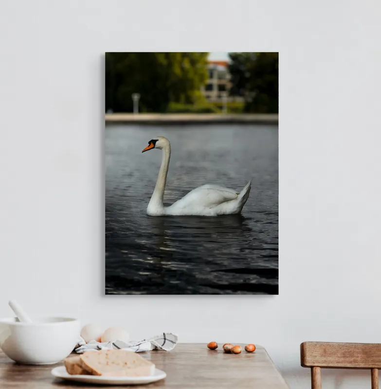 Tablou Canvas, "Grația lebedei pe lacul liniștit", Lebădă, Apă, Grație, Eleganță, Natură, Reflecție, Serenitate, Plumaj, Contrast, Peisaj., 50 x 70 cm – poza 3