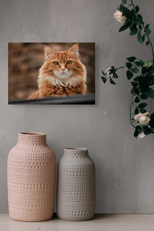 Tablou Canvas, "Motanul roșcat din povestea liniștită", Pisică, Roșcată, Blană, Privire, Urechi, Mustăți, Fundal, Feline, Expresie, Ochii Aurii, 54 x 39 cm – poza 8