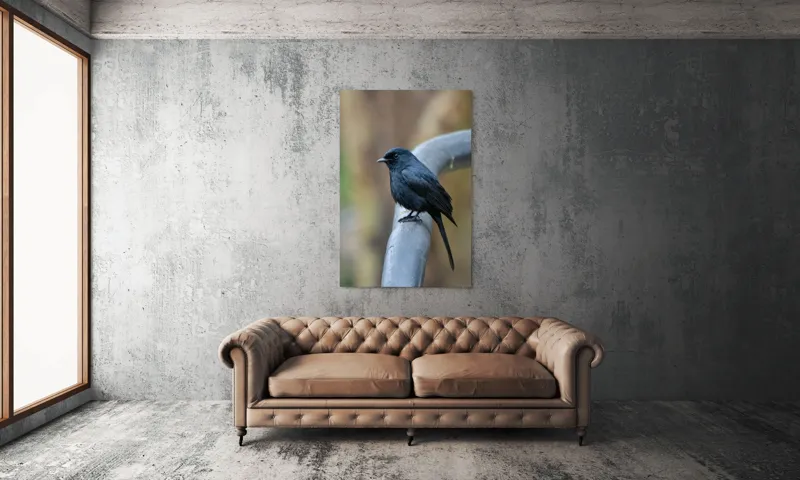 Tablou Canvas, "Cinteza întunecată pe ramură metalică", Nu pot să identific pasărea din imagine., 100 x 150 cm – poza 6