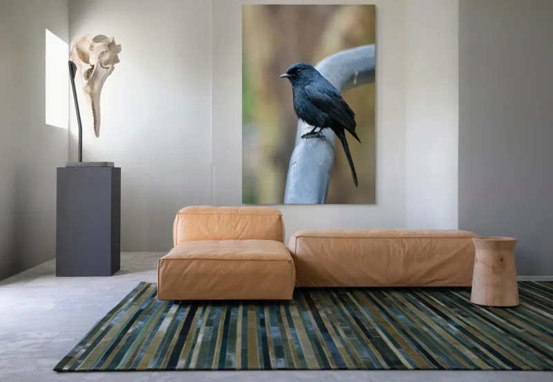 Tablou Canvas, "Cinteza întunecată pe ramură metalică", Nu pot să identific pasărea din imagine., 100 x 150 cm – poza 7