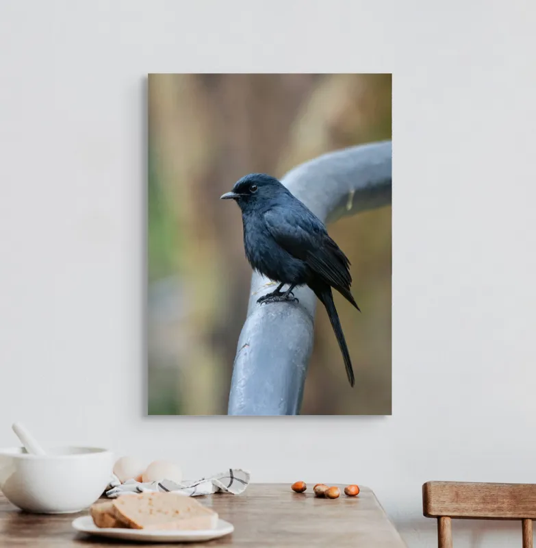 Tablou Canvas, "Cinteza întunecată pe ramură metalică", Nu pot să identific pasărea din imagine., 50 x 70 cm – poza 3