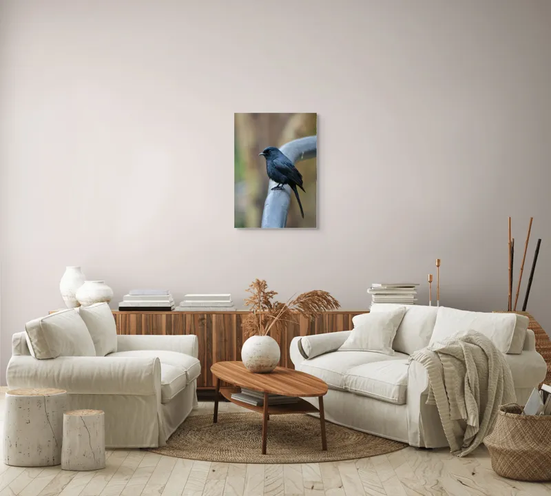 Tablou Canvas, "Cinteza întunecată pe ramură metalică", Nu pot să identific pasărea din imagine., 50 x 70 cm – poza 4