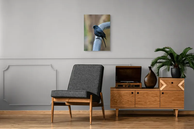 Tablou Canvas, "Cinteza întunecată pe ramură metalică", Nu pot să identific pasărea din imagine., 50 x 70 cm – poza 8