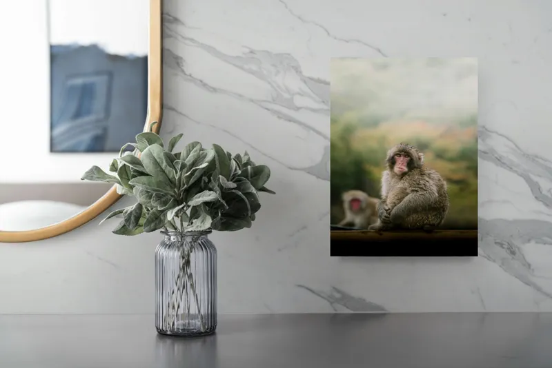 Tablou Canvas, "Maimuțe odihnindu-se în natură", Maimuță, Blană, Natură, Toamnă, Privire, Relaxează, Singurătate, Culori, Pădure, Vreme, Dulceagă, Observație, 26 x 39 cm – poza 4